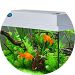 Склеивание и герметизация аквариумов